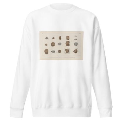 Recherches sur les poissons fossiles Pl.304 by Louis Agassiz Sweatshirt