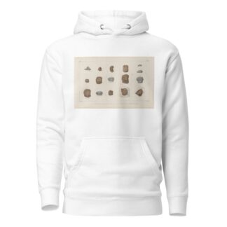 Recherches sur les poissons fossiles Pl.304 by Louis Agassiz Hoodie