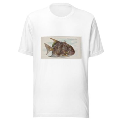 Moonfish by Allen & Ginter T-Shirt