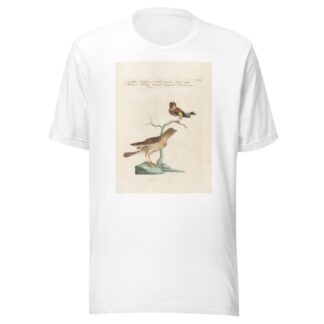 Ornithologia methodice digesta Pl.335 by Saverio Manetti T-Shirt