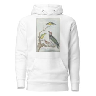 Four Different Birds on a Branch by Aert Schouman Hoodie