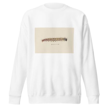 Entomology watercolour Pl.061 by George Hudson Sweatshirt