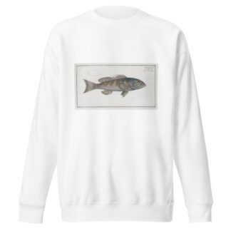 Holocentrus verescens, The green coloured Holocentre. by Marcus Elieser Bloch Sweatshirt