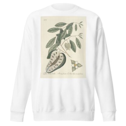 Piscium, serpentum, insectorum, aliorumque nonnullorum animalum nec non plantarum quarundam imagines Pl.067 by Mark Catesby Sweatshirt