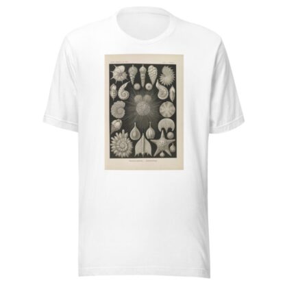 Thalamophora. – Kammerlinge. by Ernst Haeckel T-Shirt