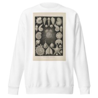Thalamophora. – Kammerlinge. by Ernst Haeckel Sweatshirt