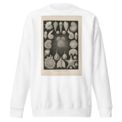 Thalamophora. – Kammerlinge. by Ernst Haeckel Sweatshirt