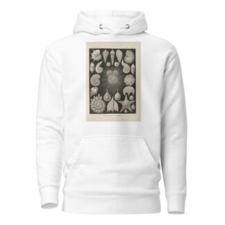 Thalamophora. – Kammerlinge. by Ernst Haeckel Hoodie