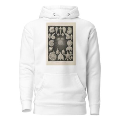 Thalamophora. – Kammerlinge. by Ernst Haeckel Hoodie