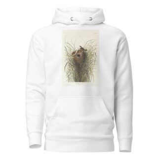 Nutalls lesser-marsh wren by John James Audubon Hoodie