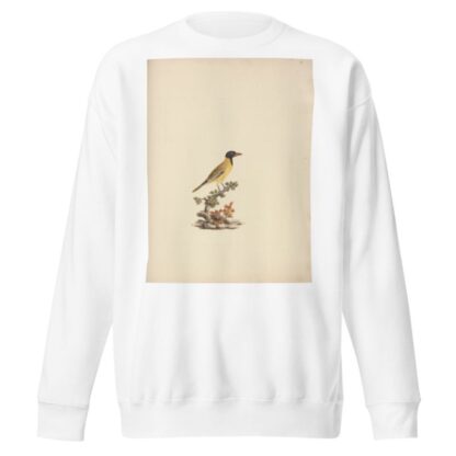 Oriolus monacha by Luigi Balugani Sweatshirt
