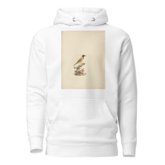 Oriolus monacha by Luigi Balugani Hoodie