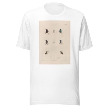 Insectes recueillis en Afrique et en Amérique Pl.15 by Jean Gabriel Prêtre T-Shirt