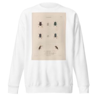 Insectes recueillis en Afrique et en Amérique Pl.15 by Jean Gabriel Prêtre Sweatshirt