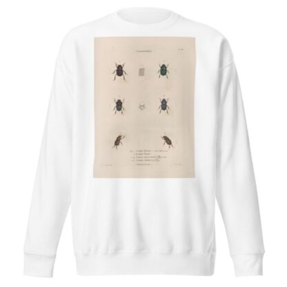 Insectes recueillis en Afrique et en Amérique Pl.15 by Jean Gabriel Prêtre Sweatshirt