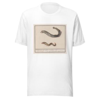 Rivierprik by Anselmus Boëtius de Boodt T-Shirt