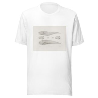 Memoirs of the Museum of Comparative Zoology at Harvard College Pl.40 by Harvard University. Museum of Comparative Zoology T-Shirt