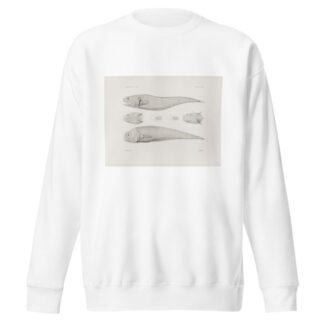 Memoirs of the Museum of Comparative Zoology at Harvard College Pl.40 by Harvard University. Museum of Comparative Zoology Sweatshirt