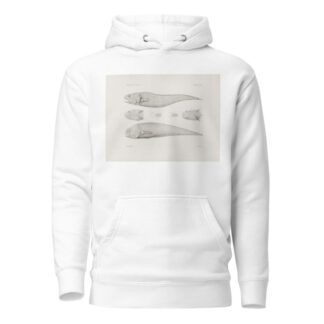 Memoirs of the Museum of Comparative Zoology at Harvard College Pl.40 by Harvard University. Museum of Comparative Zoology Hoodie