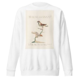Ornithologia methodice digesta Pl.321 by Saverio Manetti Sweatshirt
