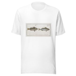 1. Sciaena Mauritii, The Guaru; 2. Sciaena Coro, The Coro. by Marcus Elieser Bloch T-Shirt