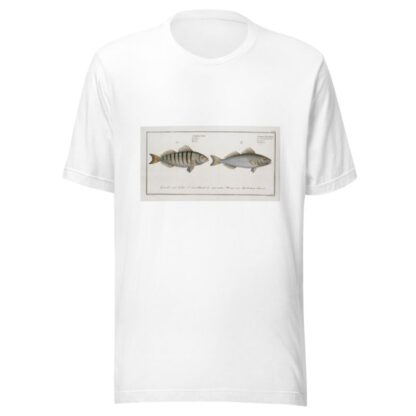 1. Sciaena Mauritii, The Guaru; 2. Sciaena Coro, The Coro. by Marcus Elieser Bloch T-Shirt