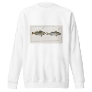 1. Sciaena Mauritii, The Guaru; 2. Sciaena Coro, The Coro. by Marcus Elieser Bloch Sweatshirt