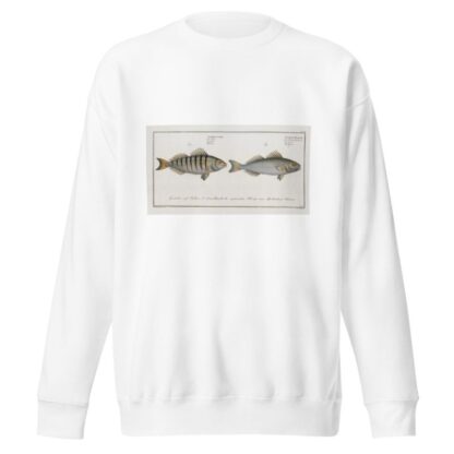 1. Sciaena Mauritii, The Guaru; 2. Sciaena Coro, The Coro. by Marcus Elieser Bloch Sweatshirt