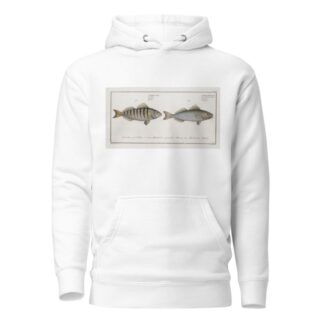 1. Sciaena Mauritii, The Guaru; 2. Sciaena Coro, The Coro. by Marcus Elieser Bloch Hoodie
