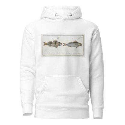 1. Sciaena Mauritii, The Guaru; 2. Sciaena Coro, The Coro. by Marcus Elieser Bloch Hoodie