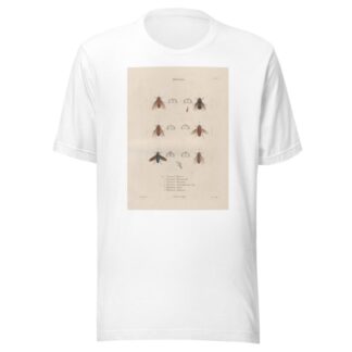 Insectes recueillis en Afrique et en Amérique Pl.89 by Jean Gabriel Prêtre T-Shirt