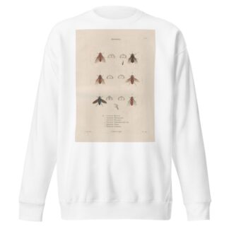 Insectes recueillis en Afrique et en Amérique Pl.89 by Jean Gabriel Prêtre Sweatshirt