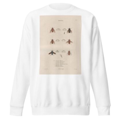 Insectes recueillis en Afrique et en Amérique Pl.89 by Jean Gabriel Prêtre Sweatshirt