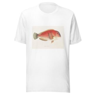 Fauna japonica Pl.101 by Philipp Franz Balthasar von Siebold T-Shirt