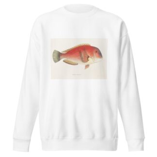 Fauna japonica Pl.101 by Philipp Franz Balthasar von Siebold Sweatshirt