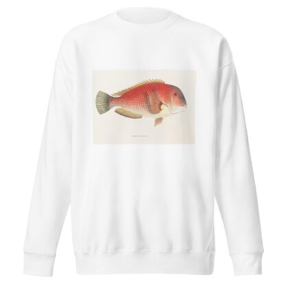 Fauna japonica Pl.101 by Philipp Franz Balthasar von Siebold Sweatshirt