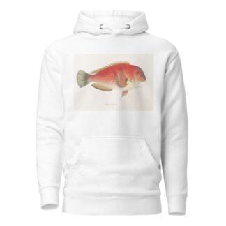 Fauna japonica Pl.101 by Philipp Franz Balthasar von Siebold Hoodie