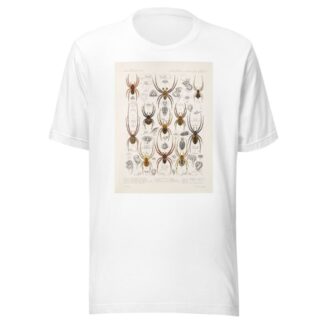 Arachnida Araneidea Pl 37 by Frederick DuCane Godman T-Shirt