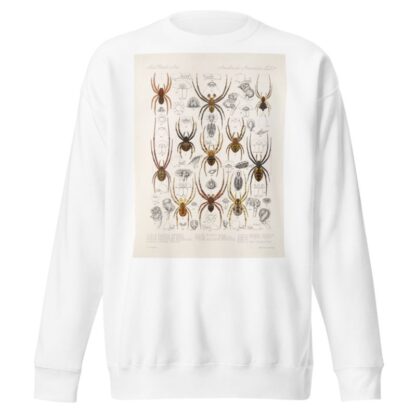 Arachnida Araneidea Pl 37 by Frederick DuCane Godman Sweatshirt