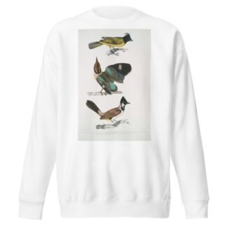 1. Black-headed Brachypus, Brachypus melanocephalus; 2. Short Tailed Pelta [Pitta], Pelta [Pitta] brachyura by John Edward Gray Sweatshirt