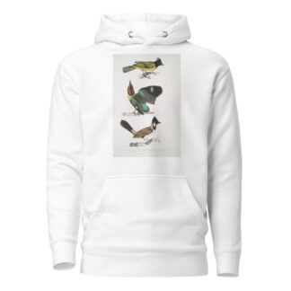 1. Black-headed Brachypus, Brachypus melanocephalus; 2. Short Tailed Pelta [Pitta], Pelta [Pitta] brachyura by John Edward Gray Hoodie