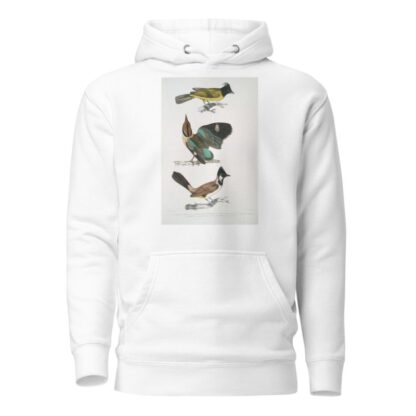 1. Black-headed Brachypus, Brachypus melanocephalus; 2. Short Tailed Pelta [Pitta], Pelta [Pitta] brachyura by John Edward Gray Hoodie