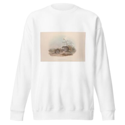 A monograph of the Macropodidae, or family of kangaroos Pl.15 by John Gould Sweatshirt