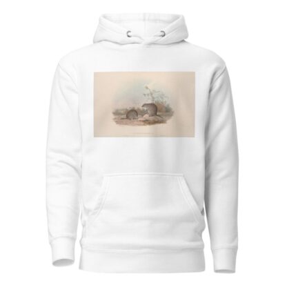 A monograph of the Macropodidae, or family of kangaroos Pl.15 by John Gould Hoodie