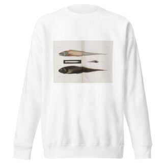 Memoirs of the Museum of Comparative Zoology at Harvard College Pl.90 by Harvard University. Museum of Comparative Zoology Sweatshirt