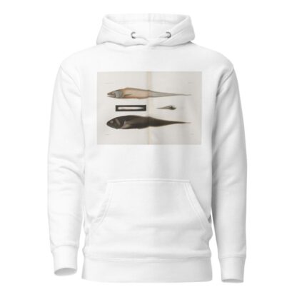 Memoirs of the Museum of Comparative Zoology at Harvard College Pl.90 by Harvard University. Museum of Comparative Zoology Hoodie