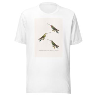 Oiseau Mouche Médiastin by Coenraad Jacob Temminck T-Shirt