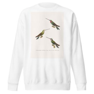 Oiseau Mouche Médiastin by Coenraad Jacob Temminck Sweatshirt