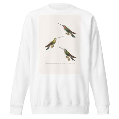 Oiseau Mouche Médiastin by Coenraad Jacob Temminck Sweatshirt