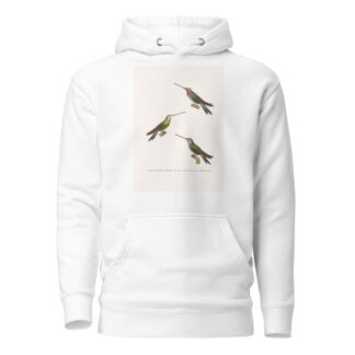 Oiseau Mouche Médiastin by Coenraad Jacob Temminck Hoodie